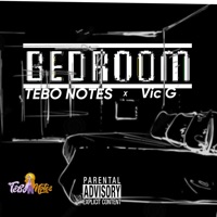 BEDROOM (feat. Vic G) - Single - Tebo Notes