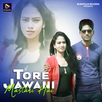 Tore Jawani Mastani Hai - Single - Sajjad Banwari