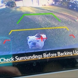 avenue (feat. KT33) Jay Kee