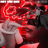 Not The One - Single - WILLYY