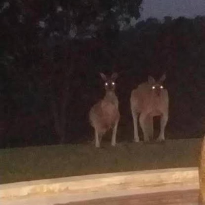 We Aint Gonna Die - Single