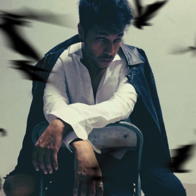 trap or get trapped, Pt. 2