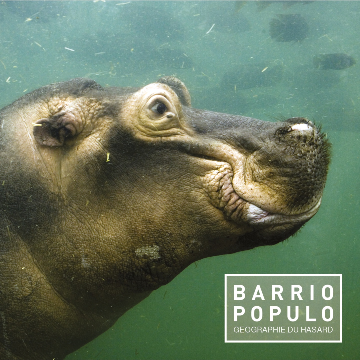 Géographie Du Hasard