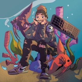 Brawl Pnpple