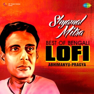 Shyamal Mitra - Best of Bengali Lofi - Single