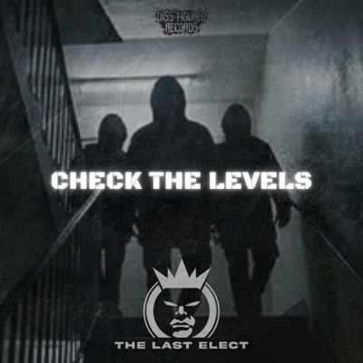 Check The Levels - Single