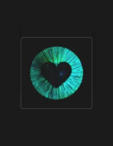 Posłuchaj wykonawcy slipe, obejrzyj teledyski, przeczytaj biografię, zobacz daty tras koncertowych i nie tylko!