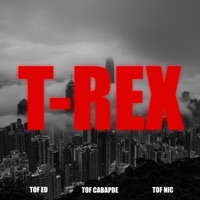 T-REX Hard (feat. NicTi One & ED) - Single - TOF Cabapde