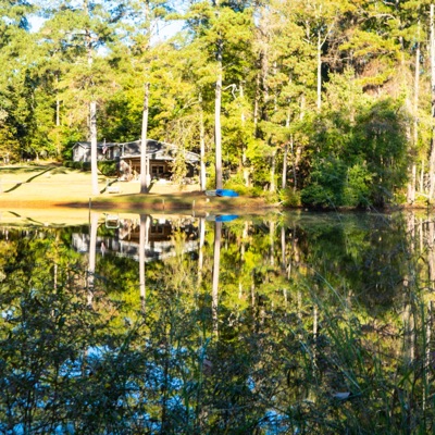 Been Through - Single