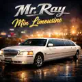 Min Limousine