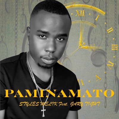 Paminamato (feat. Gary Tight) - Single