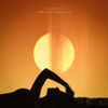 AVALAN ROKSTON, Avalan & Rokston - Something to Believe In artwork