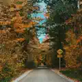 Speed Bumps