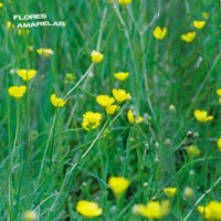 flores amarelas - Single - Juju BB