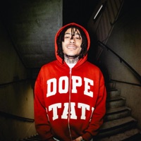 Pull da Plug - Single - Taii Wann