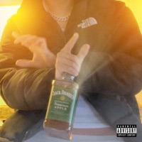 Fortes - Single - Harboh