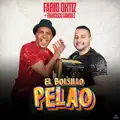 EL BOLSILLO PELAO-FARID