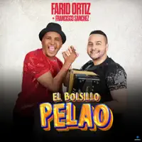 EL BOLSILLO PELAO