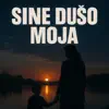 Trebam pjesmu da se dusa snađe