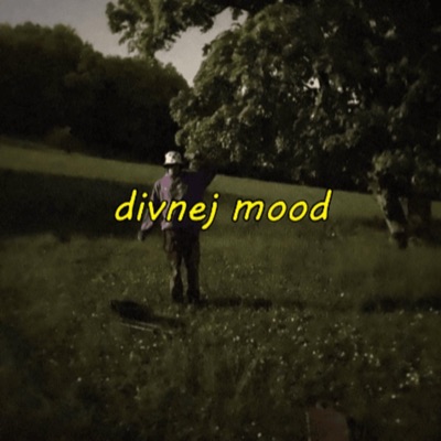 Divnej mood - Single