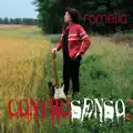 Controsenso