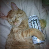 feel smth - Single - reidnn