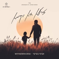 זרעא חיא וקיימא - Single - R' Cheskie Weisz, Menachem Moskowitz & Avrumi Berko