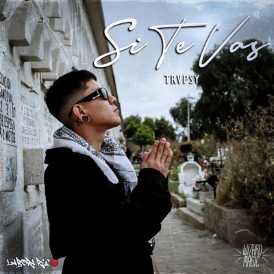 Si Te Vas - Single