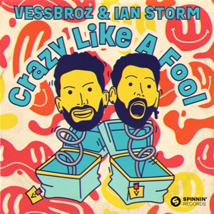 Crazy Like A Fool (Extended Mix)