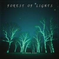 Forest Of Lights - Single - DJ Muzik Mane