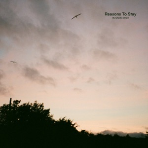 Reasons To Stay - Single