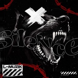 Silence (feat. DJ K-Turnaz) L-Muzik