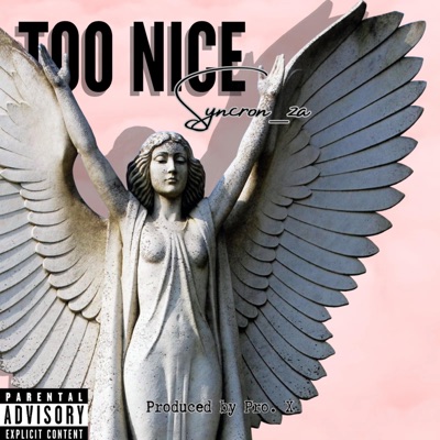 Too Nice - Single