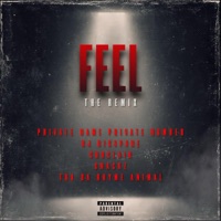 FEEL (feat. Choclair, Dj Disspare, Snackz & Tha Rhyme Animal) [The Remix] - Single - Private Name Private Number