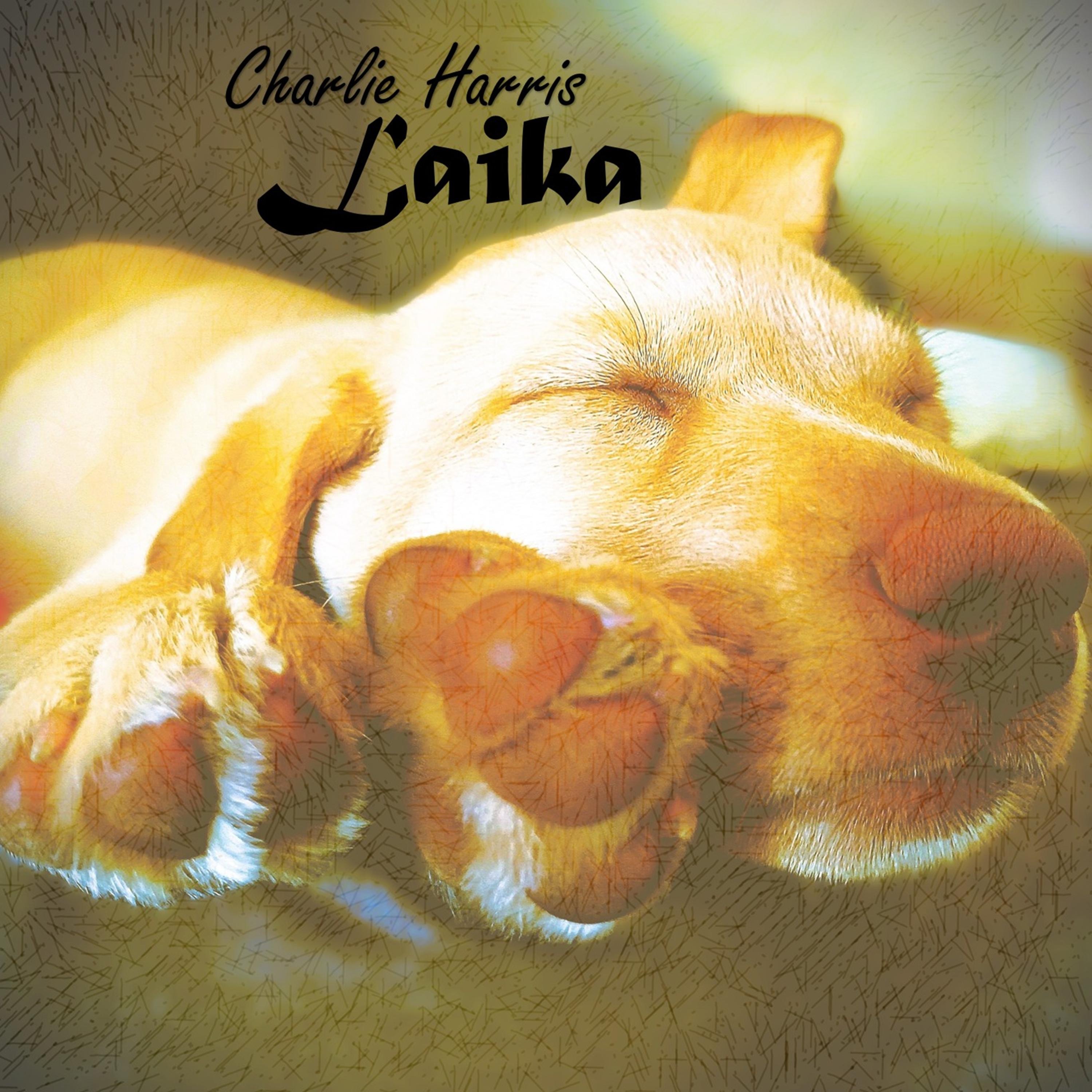 Charlie Harris - Laika