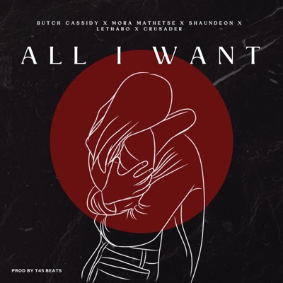 All I Want (feat. Mora Mathetse, Shaundeon, Crusader & Lethabo) - Single