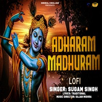 Adharam Madhuram - Lofi - Single - Sugam Singh