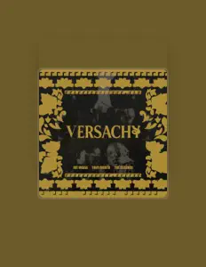 聆聽 The Essence、觀看音樂影片、閱讀小傳、查看巡演日期等！