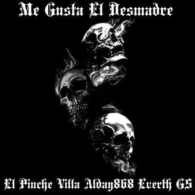 Me Gusta El Desmadre (feat. Alday868 & Everth GS) - Single