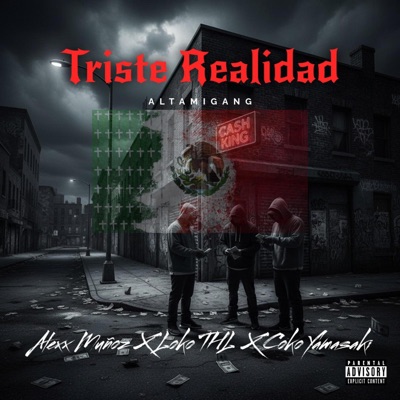Triste Realidad - Single