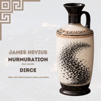 Murumuration / Dirce - Single - James Nevius