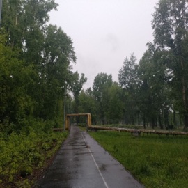 Потеряйся purpl luvv