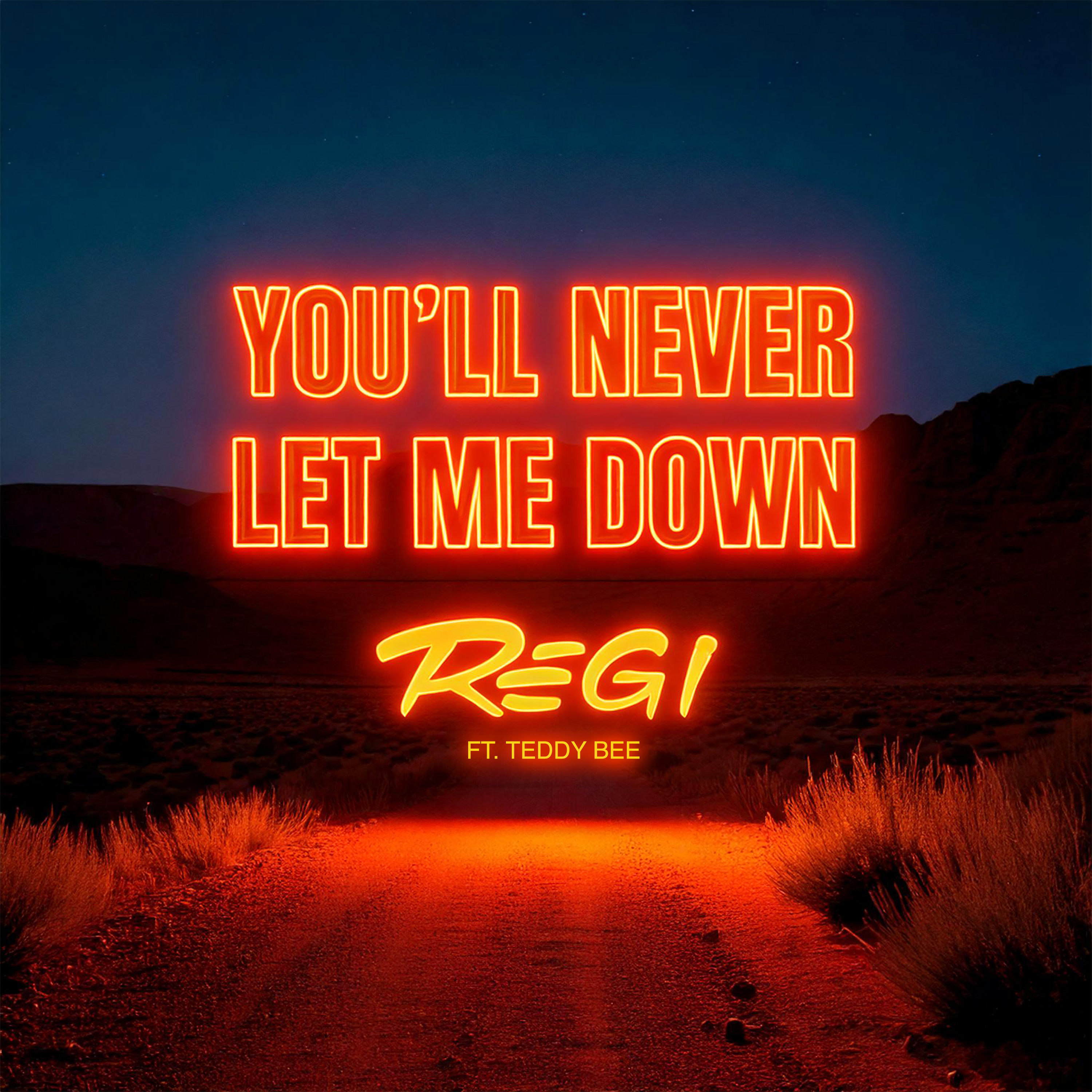 Regi, Teddy Bee - You'll Never Let Me Down '2025'