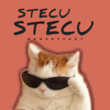 Stecu Stecu - MAMAN FVNDY