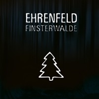 Flowers (feat. Felix Flaucher)