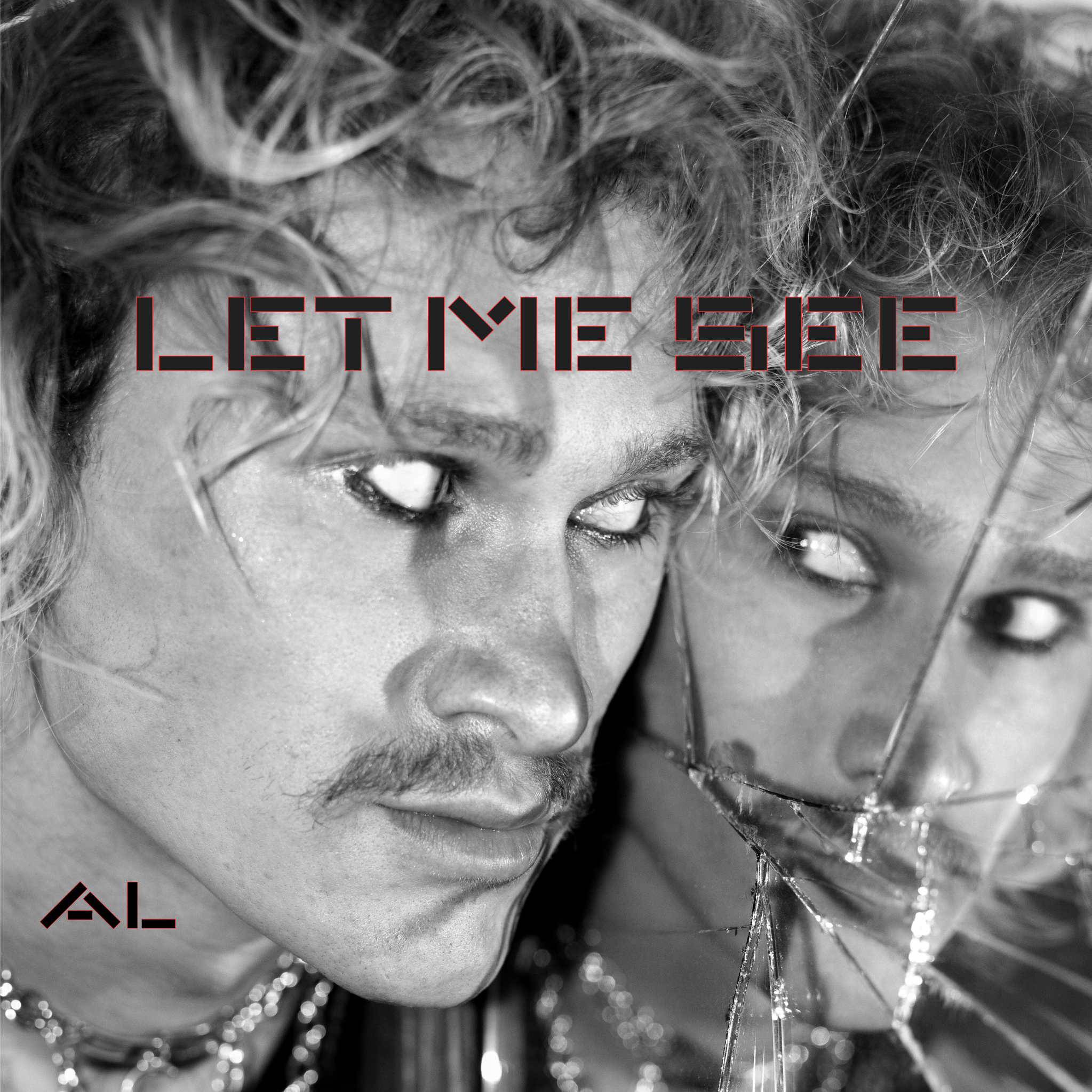 Let Me See - Single
