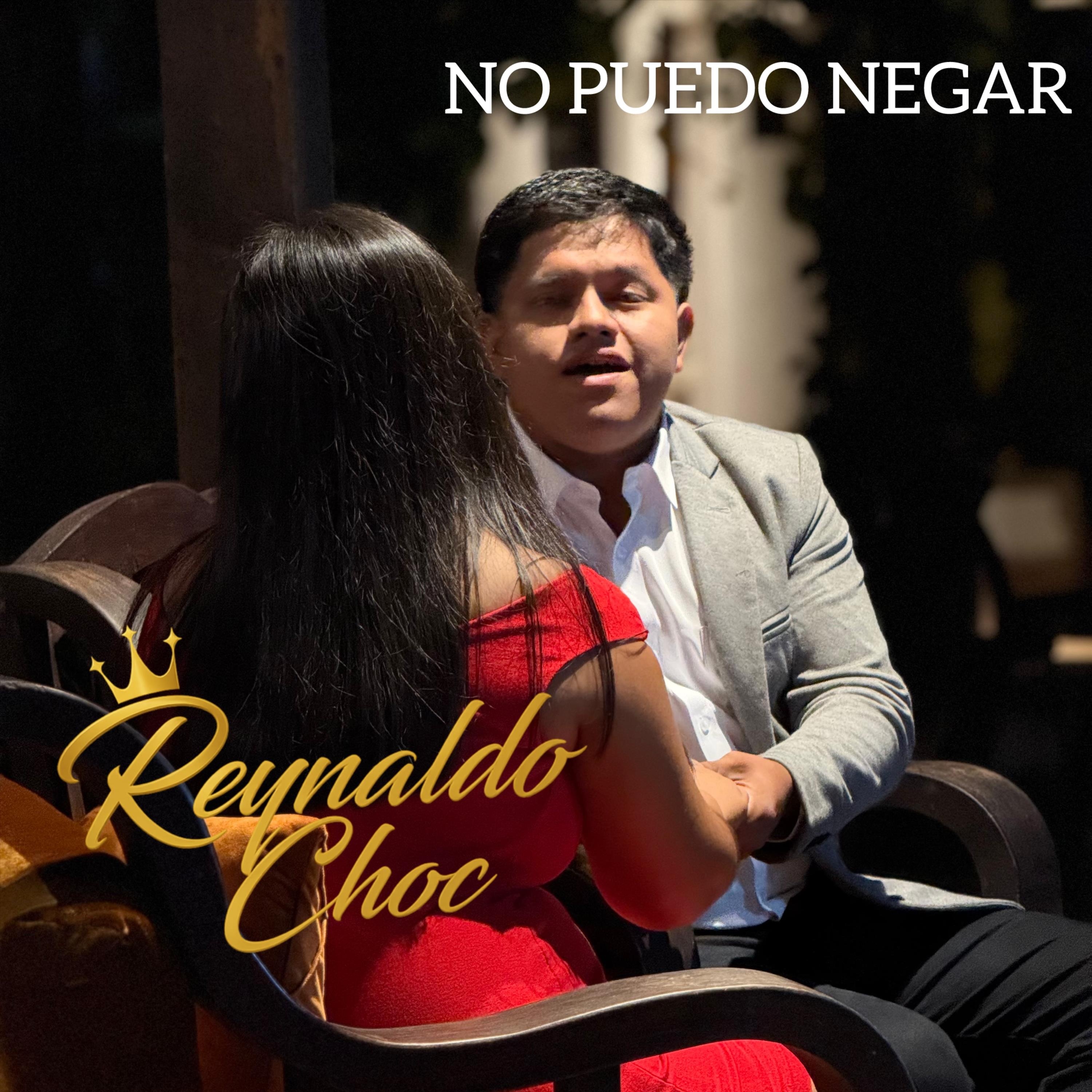 No Puedo Negar - Single