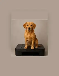 Dengarkan Tulostettu, tonton video musik, baca bio, lihat tanggal tur & lainnya!