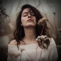 Möhtacam Əllərinə - Single - Shahlo Azimova