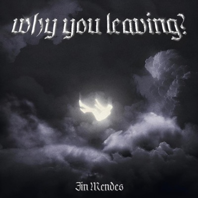 why you leaving? - Single